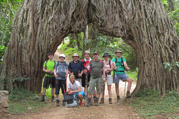 Fig tree tunnel